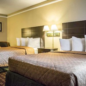 Double Room Mobility accessible